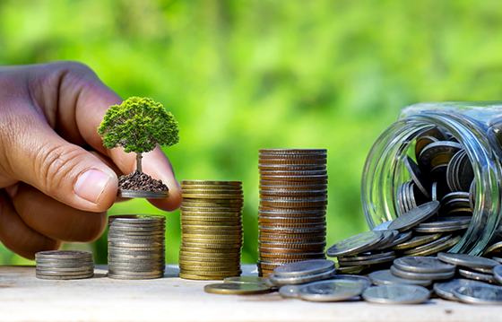 Investment Planning
